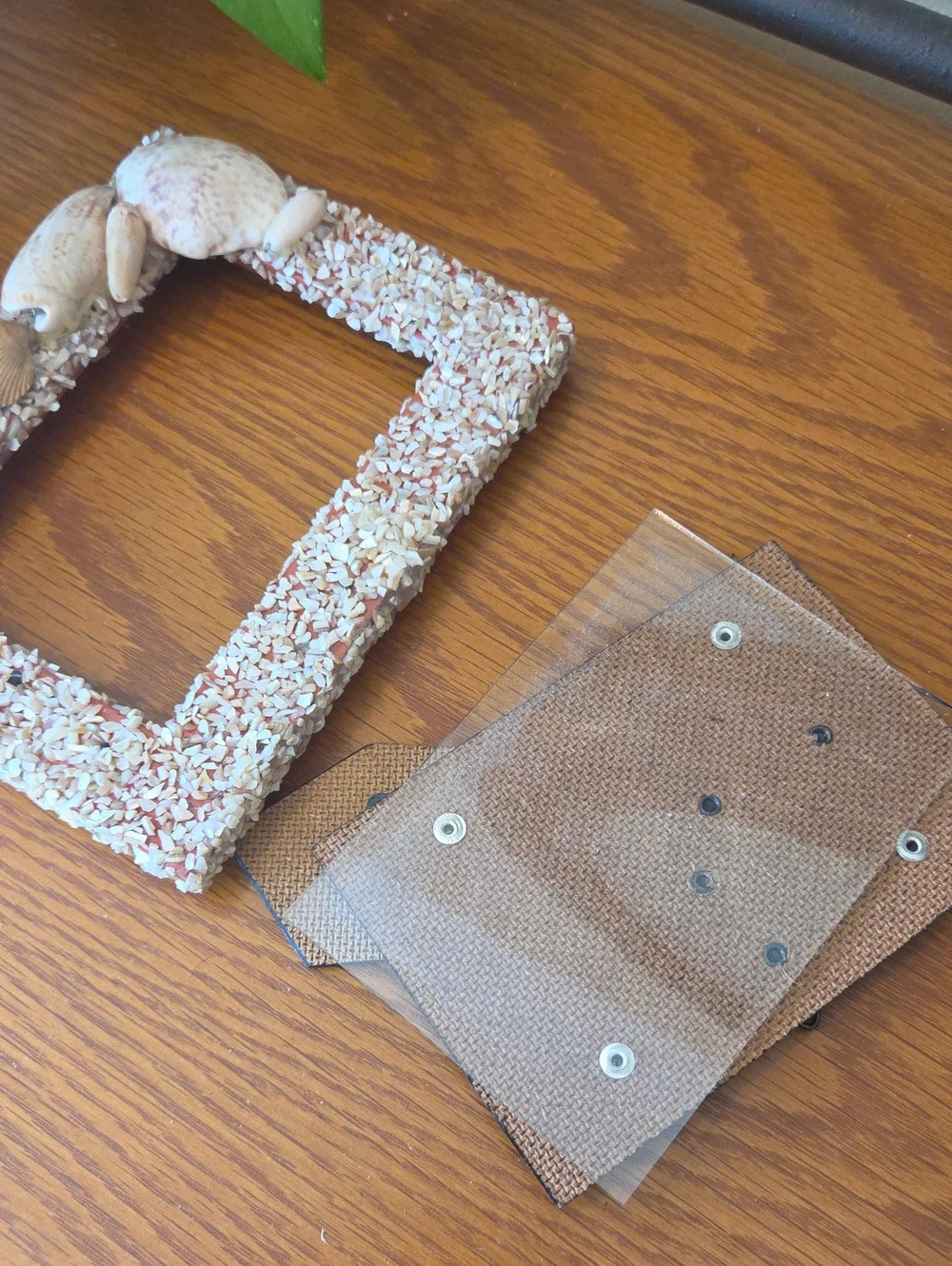 Seashell Photo Frame - Natural- Holds 3x5 Photo
